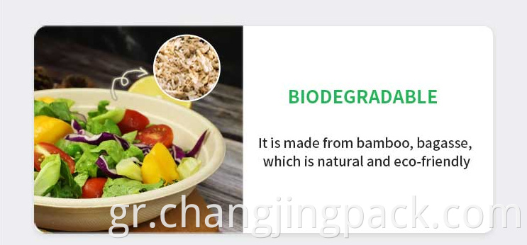  biodegradable bagasse bagasse container